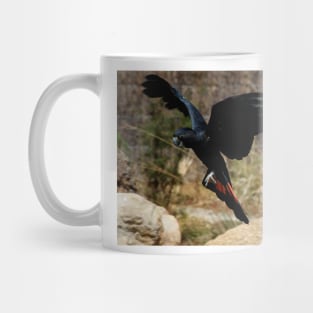 Pinjari Landing Mug